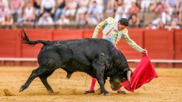Colombia aprueba la prohibición de las corridas de toros