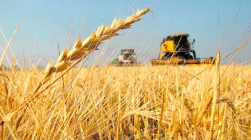 Informe posiciona a Santiago del Estero entre las provincias con el PBI de mayor crecimiento de la última década