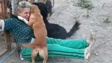 Emotiva Bienvenida en el Refugio de Animales