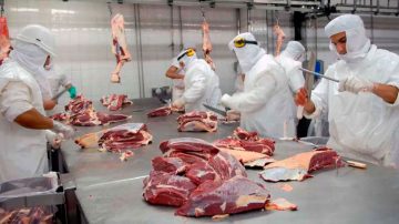 Argentina vuelve a exportar carne vacuna a Egipto luego de 4 años