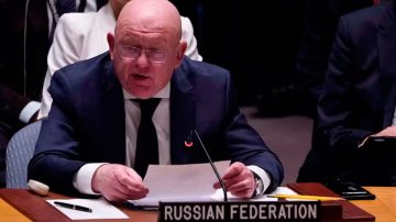 “Si Kiev está realmente dispuesto a negociar tiene las propuestas de paz de Putin”