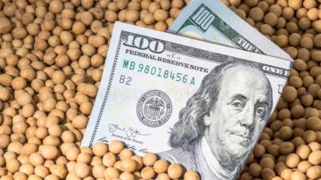 Se comercializó más de la mitad de la cosecha de maíz y soja de la campaña 2023/24