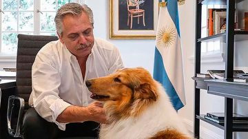 Milei le ofreció a Alberto Fernández adoptar a su perro Dylan en medio de los casos por violencia y corrupción