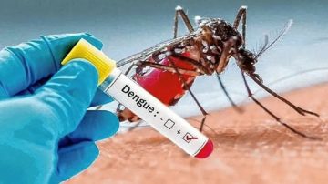 Preocupante advertencia sobre el dengue: “Será desquiciante”