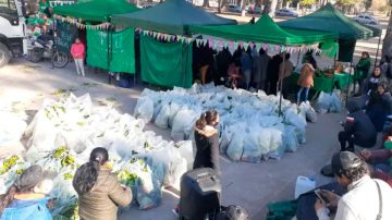 Organizan “Feriazo” con verduras a precios accesibles en la Plaza Sarmiento