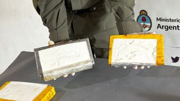 Dos salteños transportaban más de 50 kilos de cocaína con la marca del delfín, sello del “Patrón del Norte”