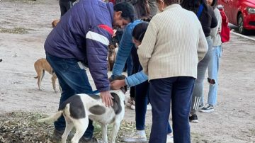 Se viene una jornada de castraciones solidarias en el monte de Santiago del Estero: cómo conseguir turno