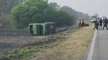 Terrible accidente de tránsito entre un micro y un auto dejó cuatro muertos