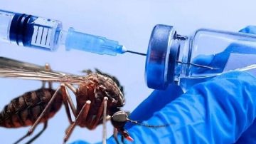 Vacunas gratis contra el dengue: adolescentes de entre 15 y 19 años serán los primeros en recibirla