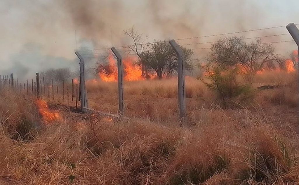 Incendio forestal puso en peligro propiedades y animales