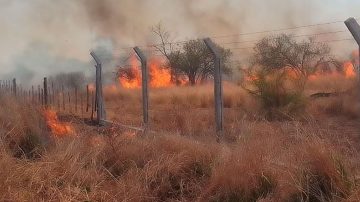Incendio forestal puso en peligro propiedades y animales
