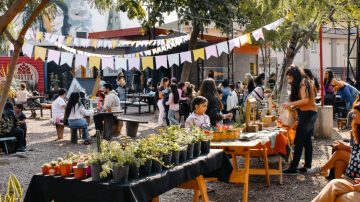 Bingo, feria americana y cineclub: la agenda de actividades del Observatorio para este fin de semana