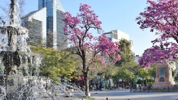 Pronostican un lunes primaveral con 31°C de máxima en Santiago del Estero