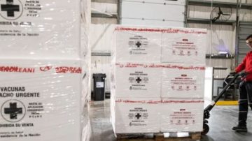 Vacunas gratuitas contra el dengue: a quiénes les corresponde