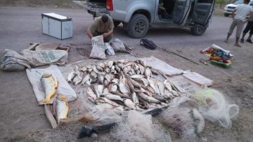 Realizan secuestros y destruyen elementos utilizados para pesca ilegal