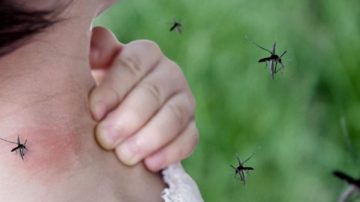 Dengue: así será el operativo casa por casa en 467 manzanas de la Capital