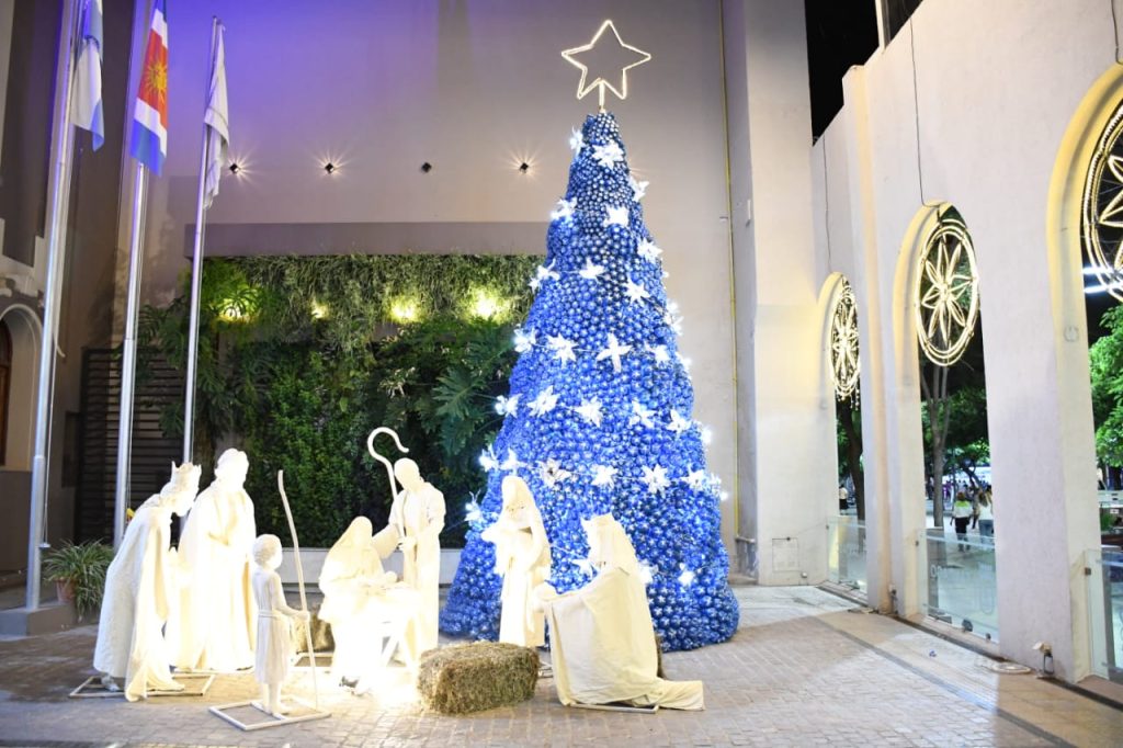 Lanzan una nueva edición de la campaña “Navidad Ecológica” para promover el cuidado ambiental