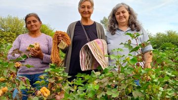 Orgullo santiagueño: técnica del INTA nominada a los Premios “Lía Encalada” de Mujeres de la Ruralidad Argentina