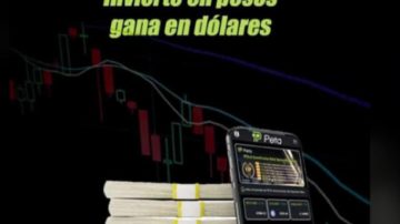 Causa PETA: pedirán la excarcelación de los detenidos