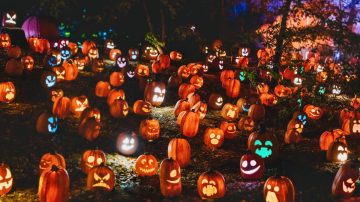 Cine de terror en El Observatorio y otras propuestas para disfrutar de Halloween con los más pequeños