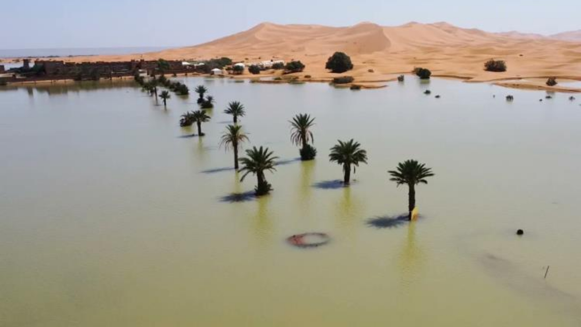 Desierto de Sahara