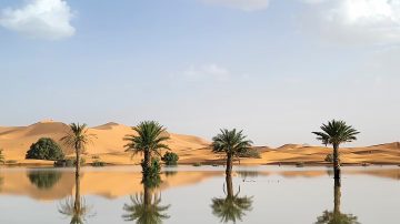 Se inundó el desierto de Sahara: Mirá las imágenes