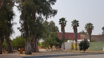 Sábado agradable en Santiago del Estero con máxima de 31 grados