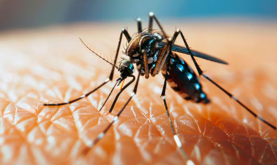 Detectan los dos primeros casos de dengue de la temporada en Córdoba