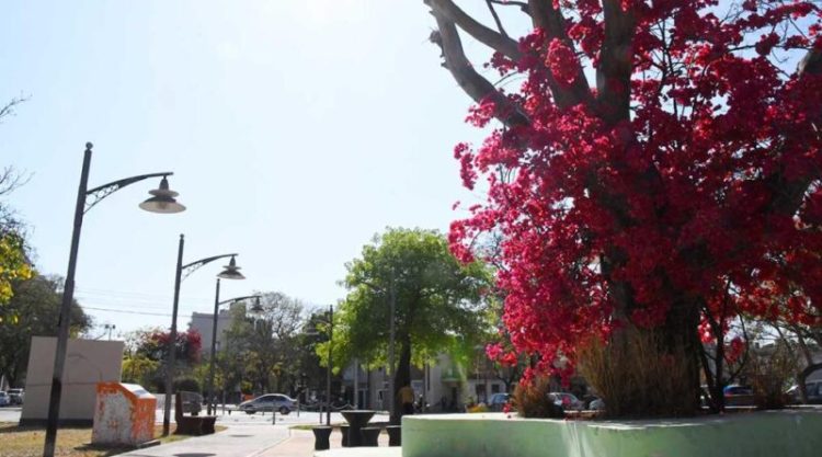 Miércoles a pleno sol y máxima de 30 grados en Santiago del Estero