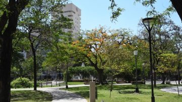 Un martes a puro sol y con una máxima de 29ºC