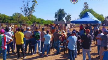 Pese a la polémica, la policía realizó con éxito la subasta de animales