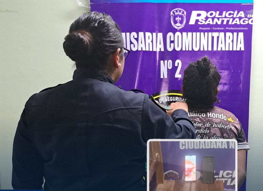 Detienen a una ladrona que arrebató el celular a un menor