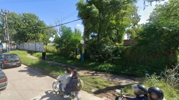 Horror en Rosario: un hombre murió tras recibir 150 picaduras de abejas