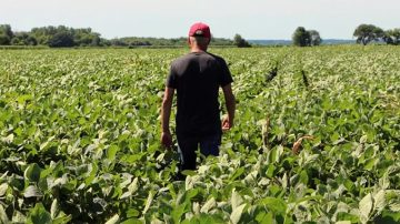 Aumento en las importaciones durante el mes de octubre