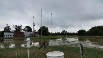 Récord de precipitaciones en noviembre: 103 mm acumulados en un día