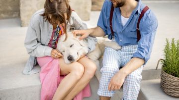 Señales de alerta en perros ancianos: síntomas que indican que está envejeciendo