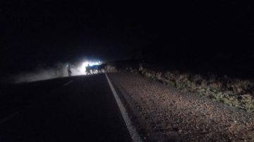 La Policía anunció el remate de animales y generó polémica