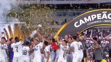 Botafogo, con un hombre de menos, venció a Mineiro 3-1 y es el nuevo campeón de América