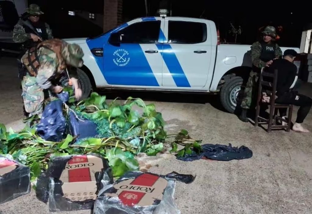 VIDEO. Se disfrazó de camalote y empujaba por el río 200 packs de cigarrillos