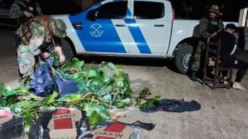 VIDEO. Se disfrazó de camalote y empujaba por el río 200 packs de cigarrillos