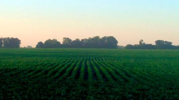 El mercado inmobiliario rural sigue en alza, y en su nivel más alto en diez años