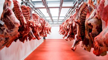 Las exportaciones de carne bovina aumentaron un 15% y generaron casi US$ 2.500 millones en lo que va del año