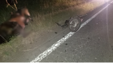 Animales sueltos: motociclista en estado crítico tras chocar con un caballo en el ruta 176