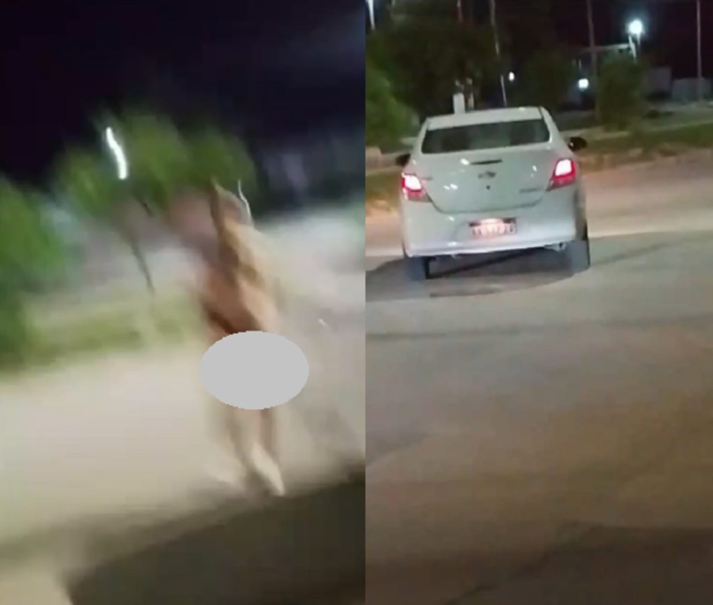 VIDEO | En plena Colón, un hombre bajó del auto como Dios lo trajo al mundo y acosó a una mujer