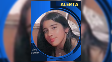 Fernández en alerta por la desaparición de una menor: la buscan intensamente