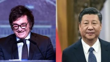 Javier Milei matendrá una reunión bilateral con Xi Jinping