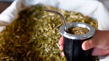 Efecto Milei: por la caída del poder adquisitivo, el consumo interno de yerba mate se desplomó un 10%