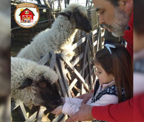 La Granja Estilo Campo celebrará el Día del Animal con una propuesta para toda la familia