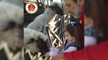 La Granja Estilo Campo reabre sus puertas: un refugio de naturaleza y conciencia para toda la familia