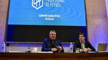 Cómo se jugará la Liga Profesional 2025: uno a uno los cambios previstos por la AFA